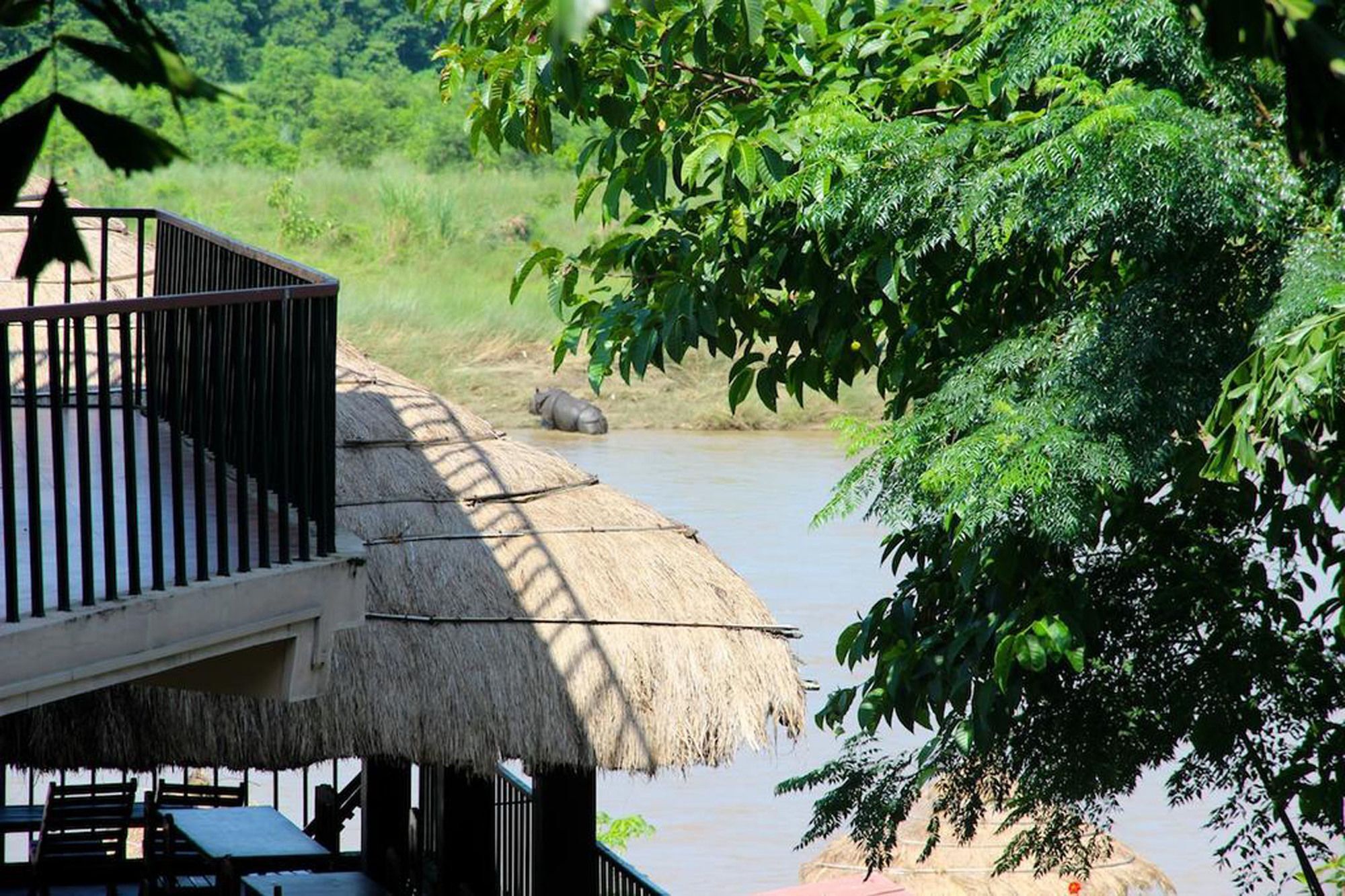 Отель Jungle Sunset Camp Саураха Экстерьер фото
